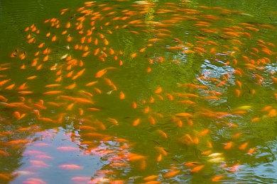 科幻喜剧电影《宇宙探索编辑部》发布定档海报及预告 4月1日上映